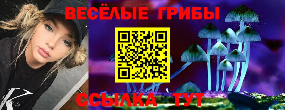 Псилоцибиновые грибы ЛСД  Вход с VPN  цены наркотик  Котельники 